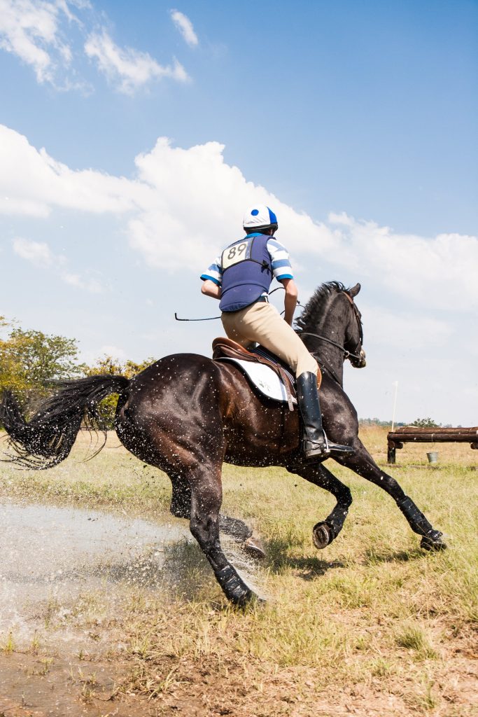 Equestrian Safety Tips For Beginners In The UK?