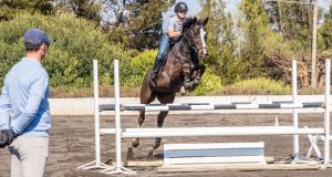 What Are Some Common Training Exercises For Showjumping Horses?