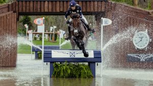 What Are The Main Disciplines In Equestrian Sports?