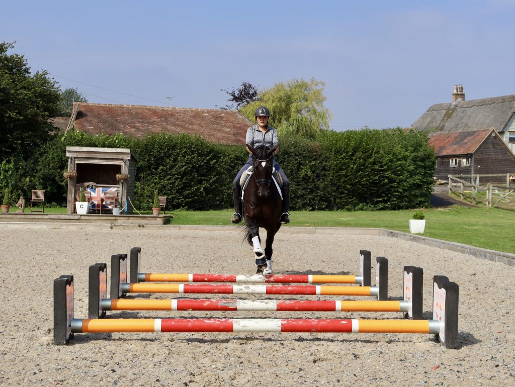 What Are Some Common Training Exercises For Showjumping Horses?