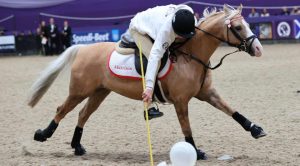 What Are The Main Disciplines In Equestrian Sports?