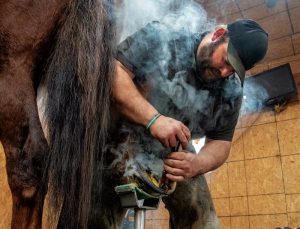 farrier