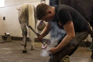 farrier