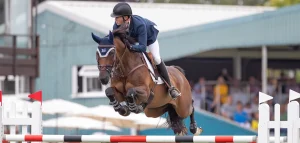 How Are Showjumping Competitions Categorized Based On The Height Of The Jumps?