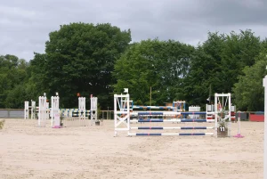 How Are Showjumping Courses Designed And Set Up?