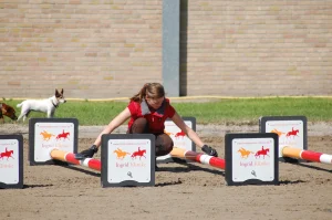 How Is Sportsmanship Demonstrated In Showjumping?