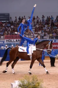 What Are The Main Disciplines In Equestrian Sports?